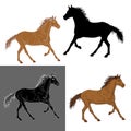 set of silhouettes horse Royalty Free Stock Photo