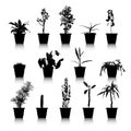 Set of silhouettes house plants
