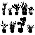 Set of silhouettes house plants in pots. Vector illustration Royalty Free Stock Photo