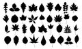 A set of silhouettes leaves of trees. Royalty Free Stock Photo