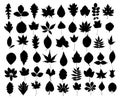 A set of silhouettes leaves of trees. Royalty Free Stock Photo