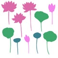 Set of silhouettes of lotus flowers, leaves and buds. Pink and green illustration. Royalty Free Stock Photo