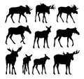 Set silhouettes of moose. Royalty Free Stock Photo