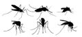 Set silhouettes of mosquitoes. Royalty Free Stock Photo