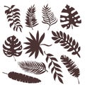 Set of silhouettes of palm leaves (11 pieces) Royalty Free Stock Photo