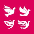 Set of silhouettes of pigeon logos