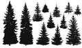 Set of Pine Trees Royalty Free Stock Photo