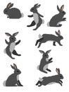 set of silhouettes of rabbits