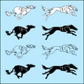 Set of silhouettes running dog saluki breed