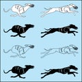 Set of silhouettes running dog whippet breed Royalty Free Stock Photo