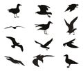 Set of silhouettes of seagulls