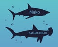Set of silhouettes sharks isolated on sea background Royalty Free Stock Photo