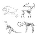 Set of silhouettes of skeletons of dinosaurs and fossils. Hand drawn vector illustration. Silhouettes of man and