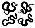 Set silhouettes of snakes.