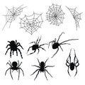 Set of silhouettes of spiders and cobwebs. Collection of black silhouettes of spiders for Halloween. Poisonous insects.