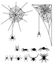 A set of silhouettes of spiders and cobwebs. Collection of black silhouettes of spiders for Halloween. Poisonous insects