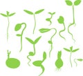 Set of silhouettes of sprouts