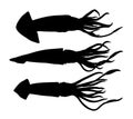 Set silhouettes of squid.