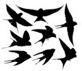 The set silhouettes of swallows.