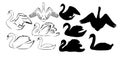 Set of silhouettes of swans. Vector illustration Royalty Free Stock Photo