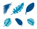 Set of silhouettes of tropical leaves isolated on white background. EPS10 vector Royalty Free Stock Photo