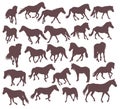 Set of silhouettes of wild free horses