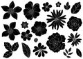 Set of Silhouettes of wild Hand drawn flowers