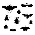 A set of silueta with insects. Illustration of black beetles, wasps, flies, butterflies, moths, dragonflies. Types of