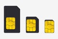 Set of SIM Cards of Different Sizes. Realistic Vector Icon. Isolated