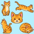 Set of simple and adorable Orange Tabby cat illustrations outlined Royalty Free Stock Photo