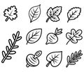Collection of hand drawn botanical elements featuring leaves and root vegetables Royalty Free Stock Photo