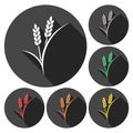 Set of simple colorful wheat ears