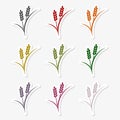 Set of simple colorful wheat ears