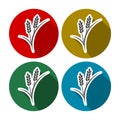 Set of simple colorful wheat ears