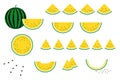 Set of simple and cute vector illustrations of yellow watermelon.