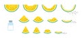 Set of simple and cute vector illustrations of yellow watermelon. Royalty Free Stock Photo