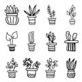 Set of simple doodle Vector houseplants and flowers in pots. Vector flat illustration