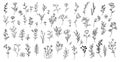 Set of simple doodles of flowers, hand drawn branches, leaves icon Royalty Free Stock Photo