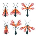 Set of simple flat beetle with different wings collection insects flat vector illustration isolated on white background