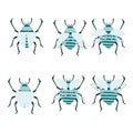 Set of simple flat beetle with different wings collection insects flat vector illustration isolated on white background