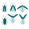 Set of simple flat beetle with different wings collection insects flat vector illustration isolated on white background