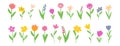 Set of simple flat doodle flowers. Design element for cards, posters, patterns. Floral clip art Royalty Free Stock Photo