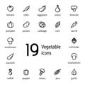 Set of simple flat vegetable line icons isolated on white background. Pictograms for web application or menu. - Vector