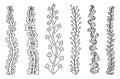 Set of simple floral stems