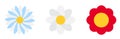 Set of simple flower of blossoming and blooming chamomile. Vector Illustration Royalty Free Stock Photo