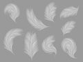 Set of simple flying bird feathers. Vector stock illustration for poster. Flat icon. Easy concept Royalty Free Stock Photo