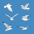 Set of simple flyingl seagull Royalty Free Stock Photo