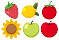 Set of simple fruit and flower cartoon