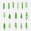 Set of simple green wheats ears icons and wheat design elements for beer, organic or local farm fresh food, bakery Royalty Free Stock Photo