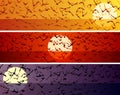 Set of simple horizontal banners with a flock of birds at sunset.